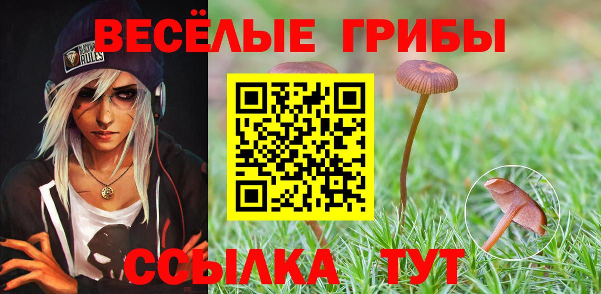 Удомля  Галлюциногенные грибы Psilocybe  Вход с VPN 